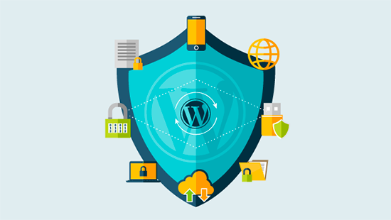 WORD PRESS WEBSITE PROTECTION